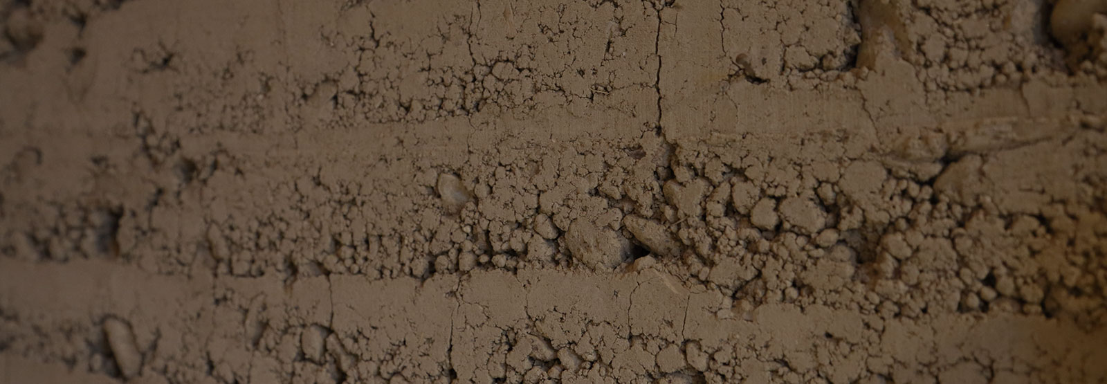 プライバシーポリシー